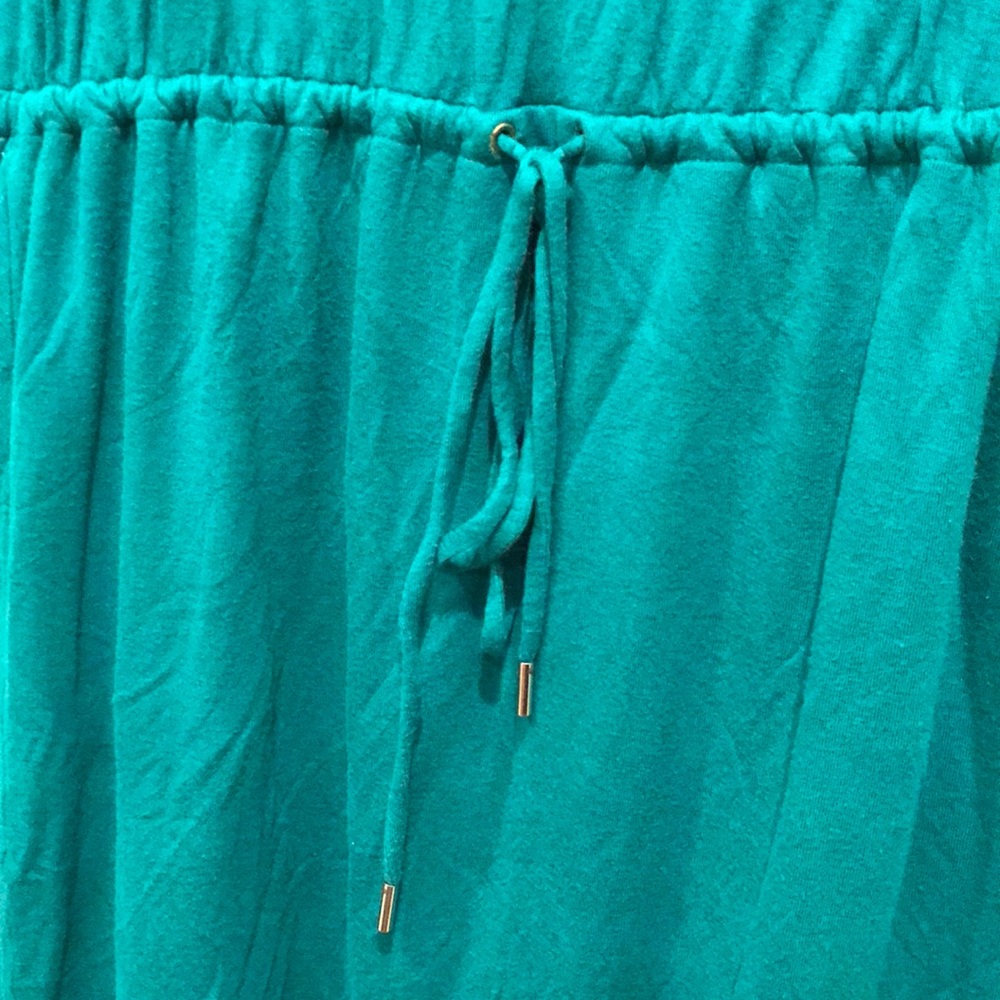 SOLD - Banana Republic Drop-Waist Lined Dress - Picture 6 of 8